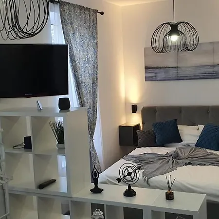 First Studio24 브라쇼브